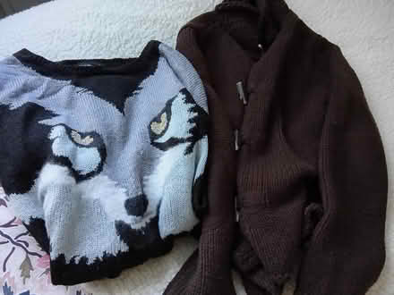 Photo of free Ladies clothes (Willesborough) #1