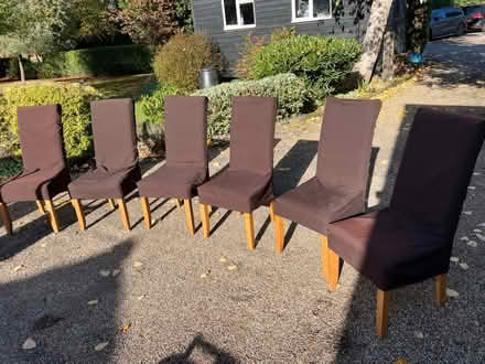 Photo of free 6 dining chairs with brown covers (CM3 East Hanningfield.) #1