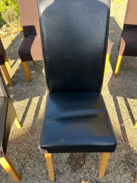 Photo of free 4 black dining chairs (CM3 East Hanningfield.) #2