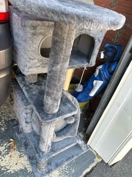Photo of free Cat supplies (Bloomfield) #4