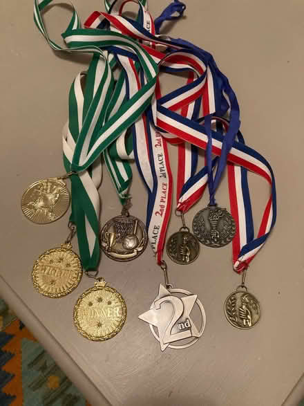 Photo of free Sports medals (Wallands Park BN7) #1