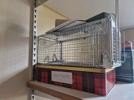 Photo of free Mouse Trap (Oxford OX3) #1