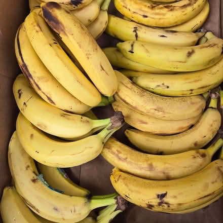 Photo of free Bananas (Chiquita Av MtnVw) #1