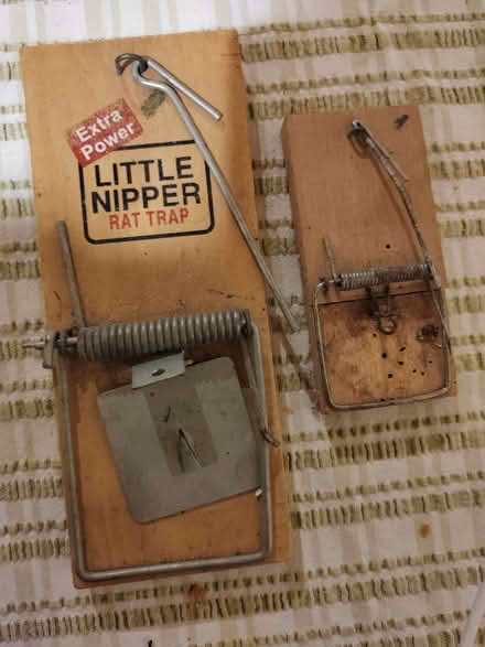 Photo of free Rat trap and mouse trap (Risinghurst OX3) #1