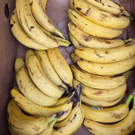 Photo of free Ripe Bananas (Chiquita Av MtnVw) #3