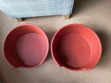 Photo of free Plastic Cat or Small Dog Beds (Sidford EX10) #1