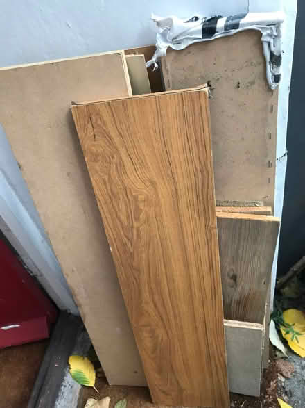 Photo of free Random wood (Stoke Newington N16) #2