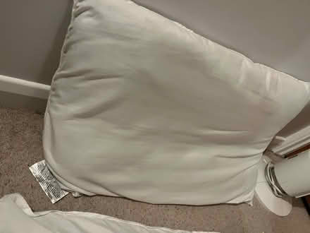 Photo of free Pillows (x2) (AL1) #2