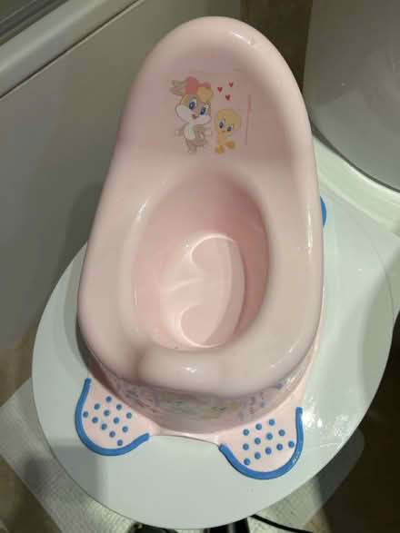 Photo of free Unused Potty (Marden, Devizes SN10) #1