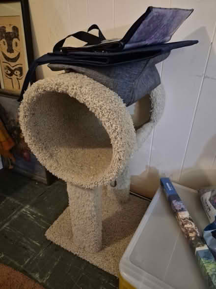 Photo of free cat tree (20817) #1