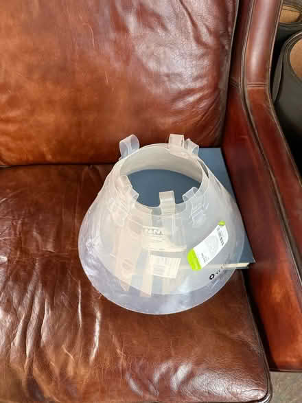 Photo of free Two dog collars - injury, scratching protection (Cumnor OX2) #1