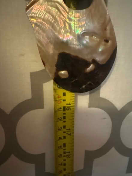 Photo of free Bread and shell necklace (Stuyvesant Heights) #2