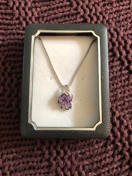 Photo of free Silver necklace (Epsom KT18) #1