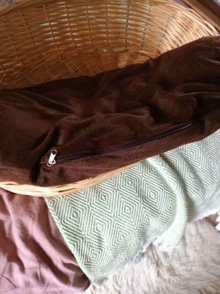 Photo of free Small/medium dog bed (Cherry Lodge, Northampton) #4