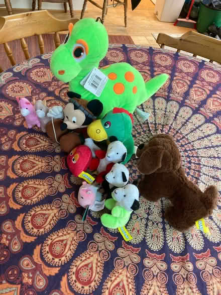 Photo of free Cuddley toys (CT5) #2