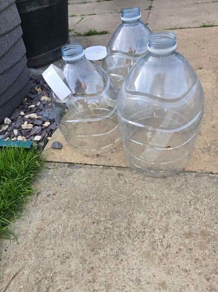 Photo of free Home made Seedling Protectors (CT21) #1