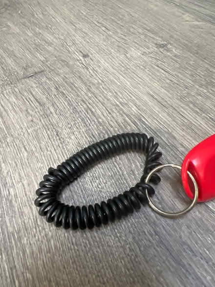 Photo of free Pet Training Clicker. Good condition (Southsea PO4) #3