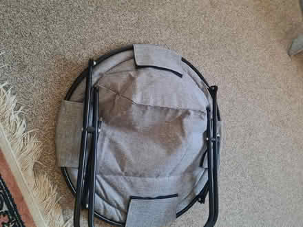 Photo of free Cat bed (Bognor) #4