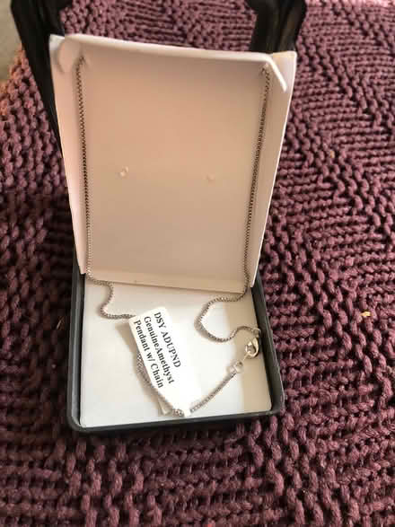 Photo of free Silver necklace (Epsom KT18) #2