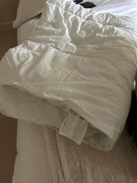 Photo of free 1 x King 1 x Single 10.5 Tog Duvets (Marden, Devizes SN10) #2