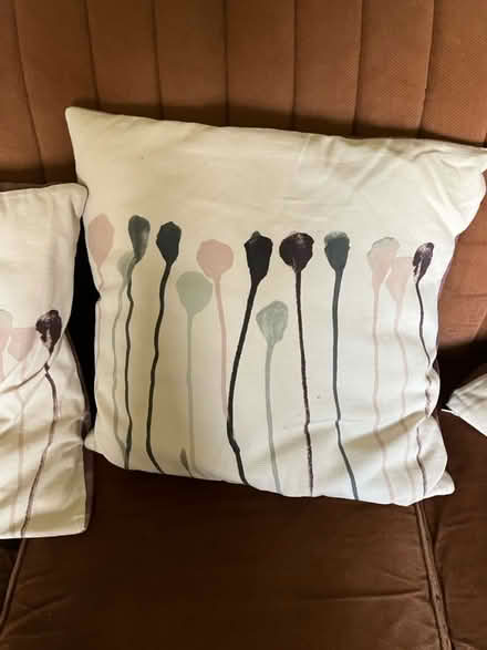 Photo of free 3 cushions (NE5 etal lane) #1