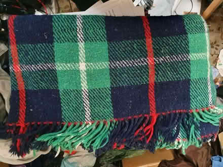 Photo of free Pet rug (Booker HP12) #1