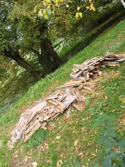 Photo of free Fire wood (Hemel Hempstead HP1) #1