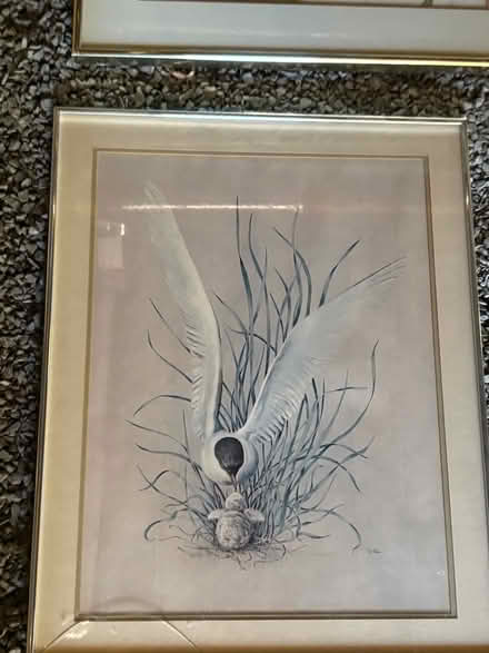 Photo of free Art work (over 30 pieces) (Highland - Elmwood Village) #4