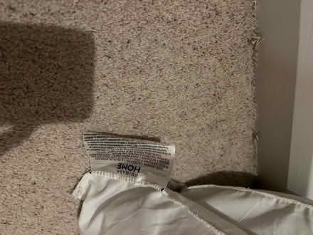 Photo of free Pillows (x2) (AL1) #3