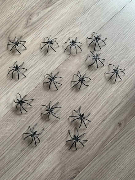 Photo of free Plastic spiders (Bracknell RG12) #1