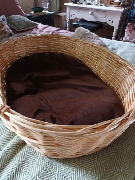 Photo of free Small/medium dog bed (Cherry Lodge, Northampton) #1