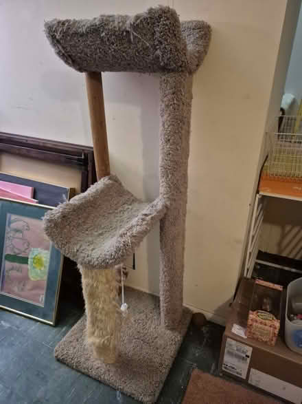 Photo of free tall cat tree (20817) #1