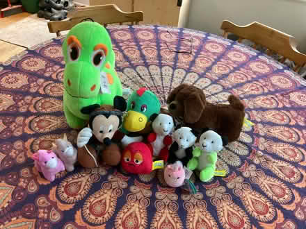 Photo of free Cuddley toys (CT5) #1