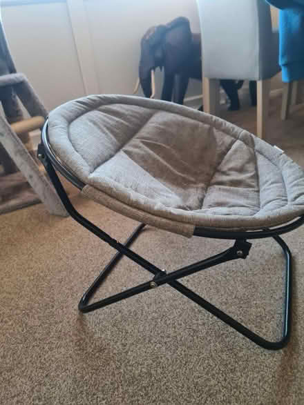 Photo of free Cat bed (Bognor) #1