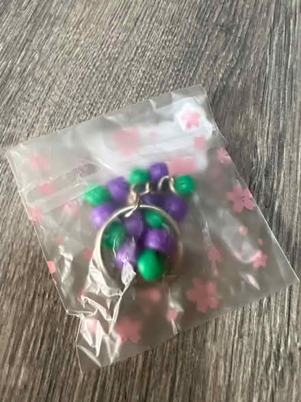 Photo of free Keyring in plastic bag. (Southsea PO4) #2