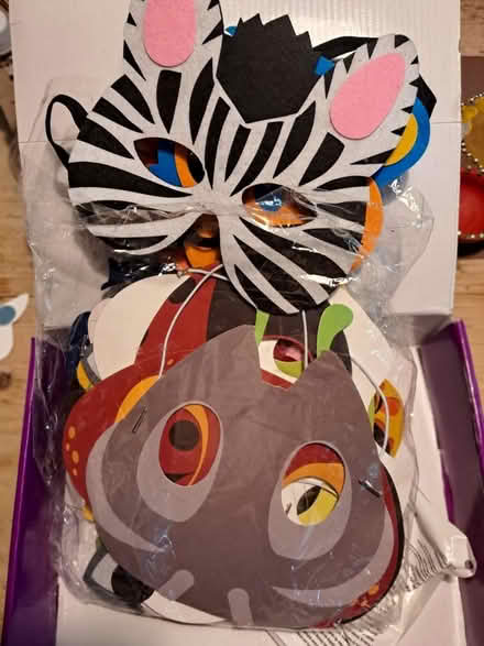 Photo of free Kids animal masks ×17 (OX25, Weston on the green) #1