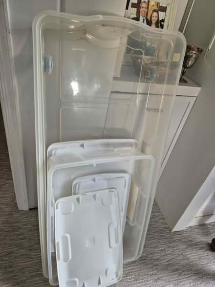 Photo of free plastic bins (20817) #1
