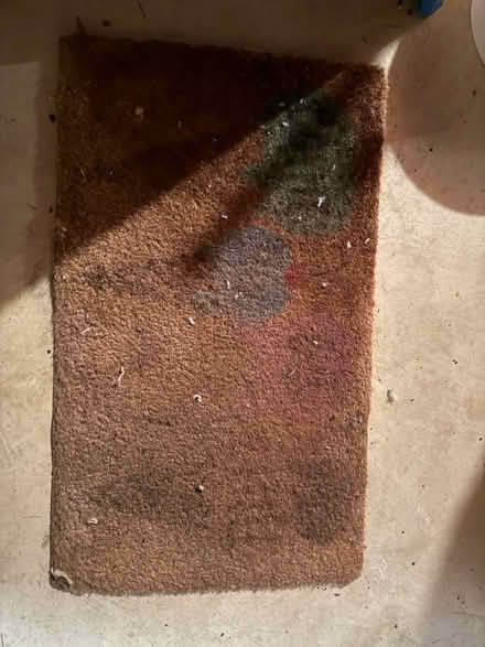 Photo of free Doormat (Upper Marlboro) #1