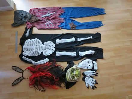 Photo of free kids halloween fancy dress items (Florence Park OX4) #1