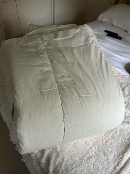 Photo of free 1 x King 1 x Single 10.5 Tog Duvets (Marden, Devizes SN10) #1
