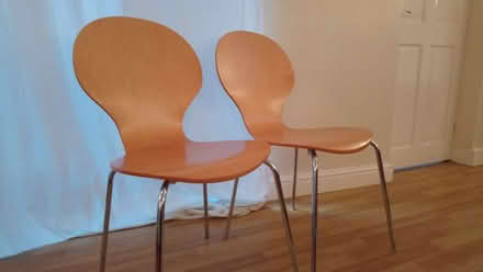 Photo of free Two dining or occasion chairs (Lady Bay NG2) #1
