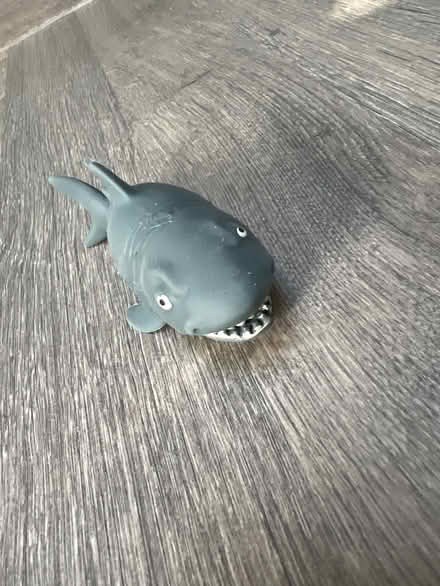 Photo of free Small rubber Shark toy. (Southsea PO4) #2