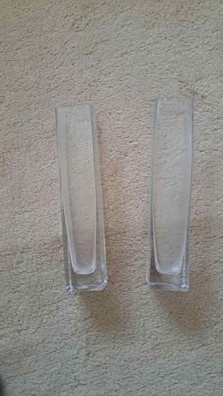 Photo of free Slim vases (Clive Vale TN35) #1
