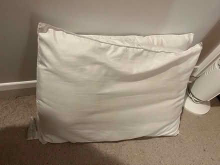 Photo of free Pillows (x2) (AL1) #1
