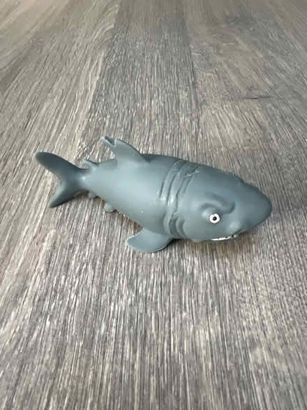 Photo of free Small rubber Shark toy. (Southsea PO4) #1
