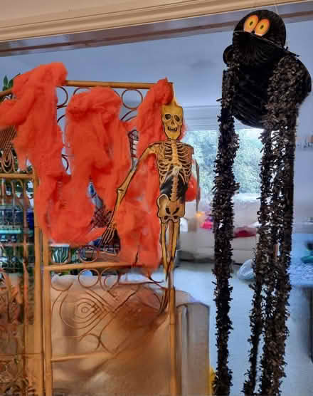 Photo of free Halloween (SL6. (Maidenhead)) #1