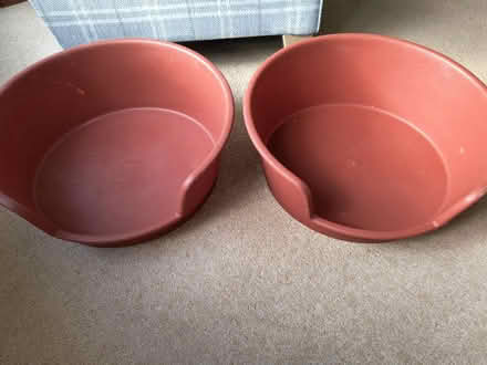 Photo of free Plastic Cat or Small Dog Beds (Sidford EX10) #2