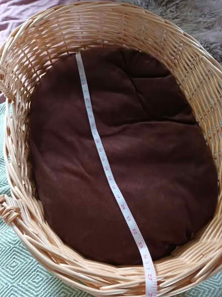 Photo of free Small/medium dog bed (Cherry Lodge, Northampton) #2