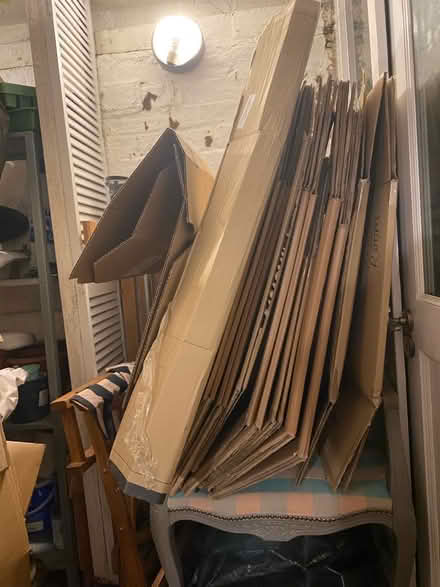 Photo of free 10 large removal packing boxes (CT11) #1
