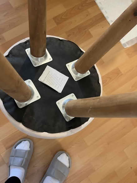 Photo of free Tree leg stool (NR1) #2